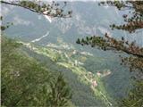 Forca di Dogna in Cima Robinia vasica Patocc visoko nad dolino Reklanice